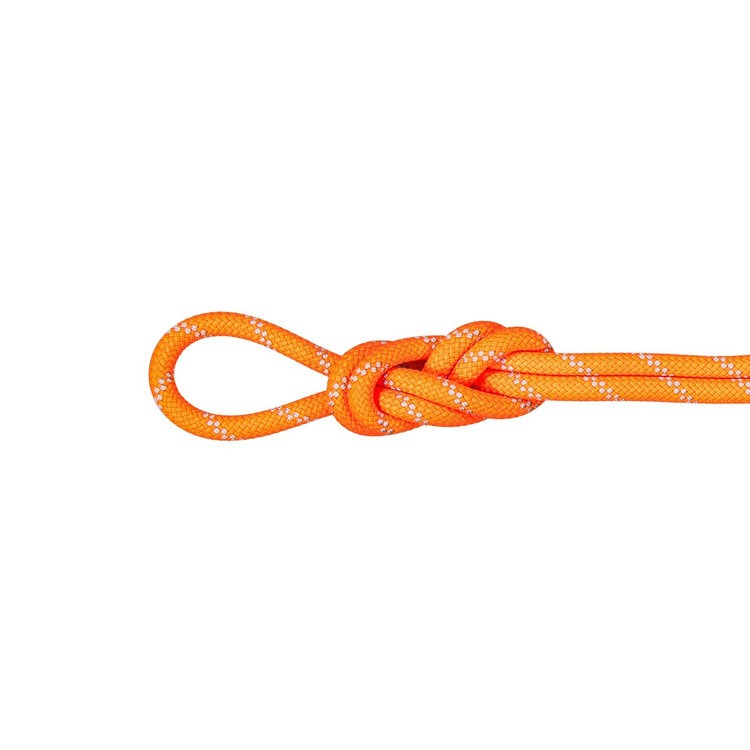 マムート / MAMMUT（マムート） | 9.5アルパインドライロープ40m / vibrant orange-zen 9.5 Alpine Dry Rope 40m 2010-05510 [25FW]