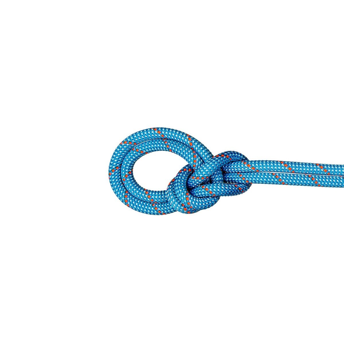 マムート / MAMMUT（マムート） | 9.8クラッグクラシックロープ60m / ice mint-white 9.8 Crag Classic Rope 60m 2010-05860 [25FW]