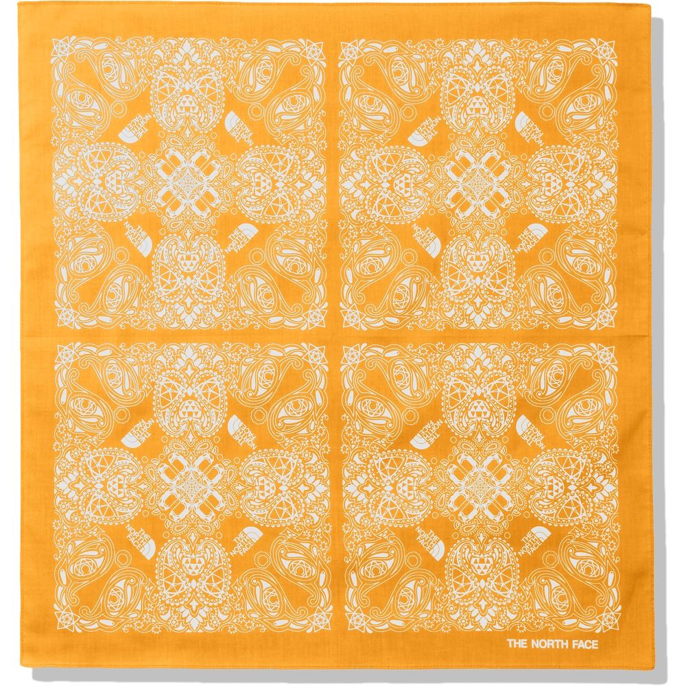 NORTH FACE  ノースフェイス のーすふぇいす | ジオドームペイズリーバンダナ / Geodome Paisley Bandana NN22202 SF 