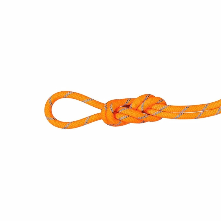 マムート / MAMMUT（ー） | 8.7 アルパイン センダー ドライ ロープ 70m / 8.7 Alpine Sender Dry Rope 70m 2010-05280 2285