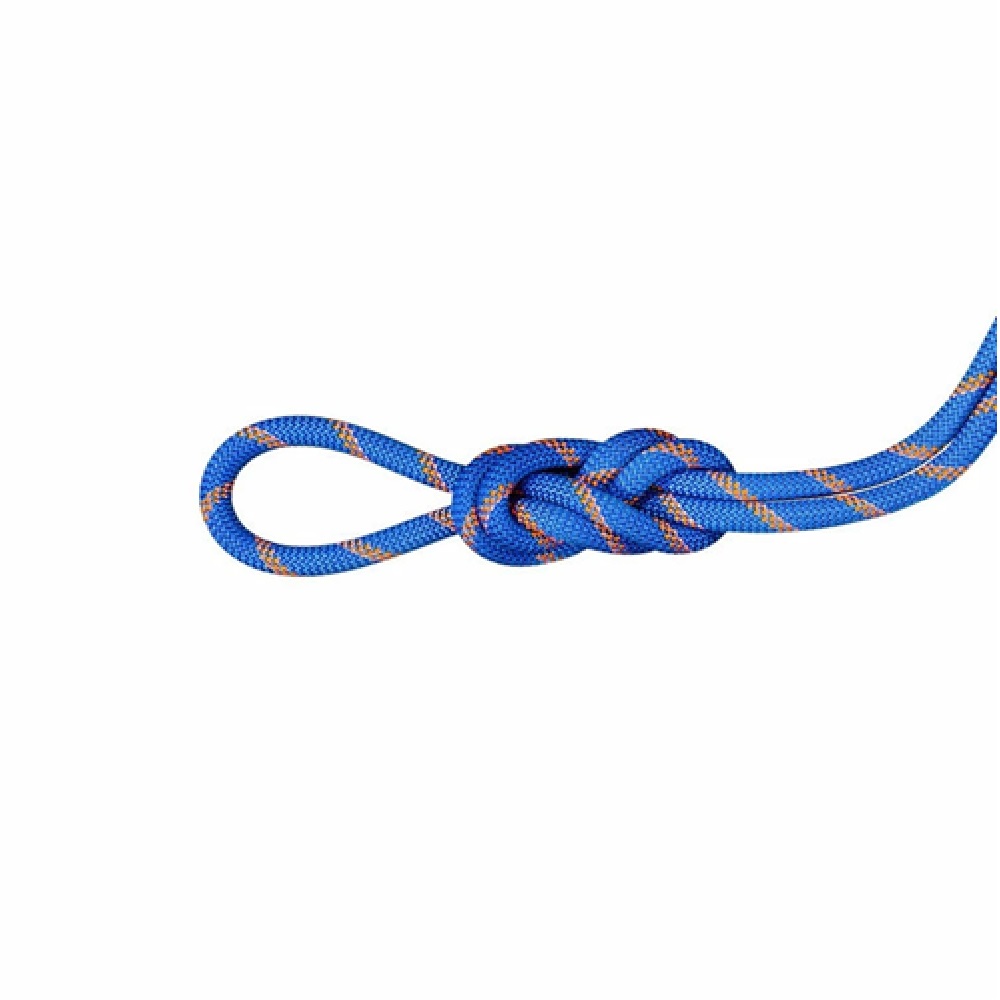 9．0 アルパイン センダー ドライ ロープ 60m / 9.0 Alpine Sender Dry Rope 60m 2010-05370 ice-sunrise|マムート / MAMMUT