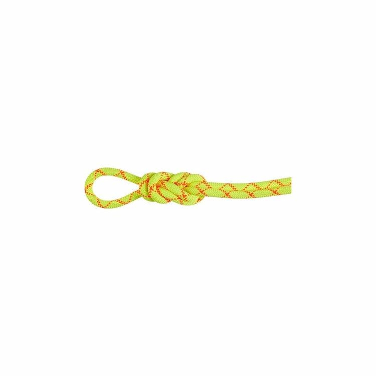 マムート / MAMMUT（マムート） | 9.5アルパインコアプロテクトドライロープ50m / halo-v_og 9.5Alpine Core Protect DryRope50m 2010-05430 [25FW]