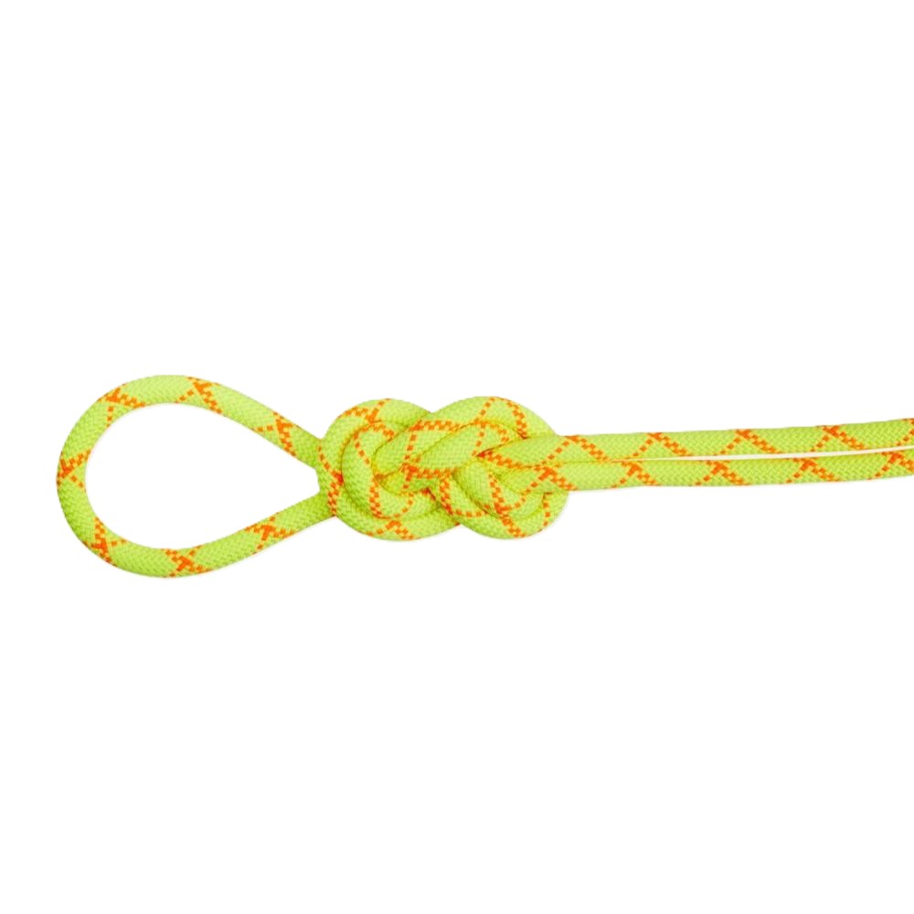 マムート / MAMMUT（マムート） | 9.5アルパインコアプロテクトドライロープ60m / halo-v_og 9.5Alpine Core Protect DryRope60m 2010-05450 [25FW]