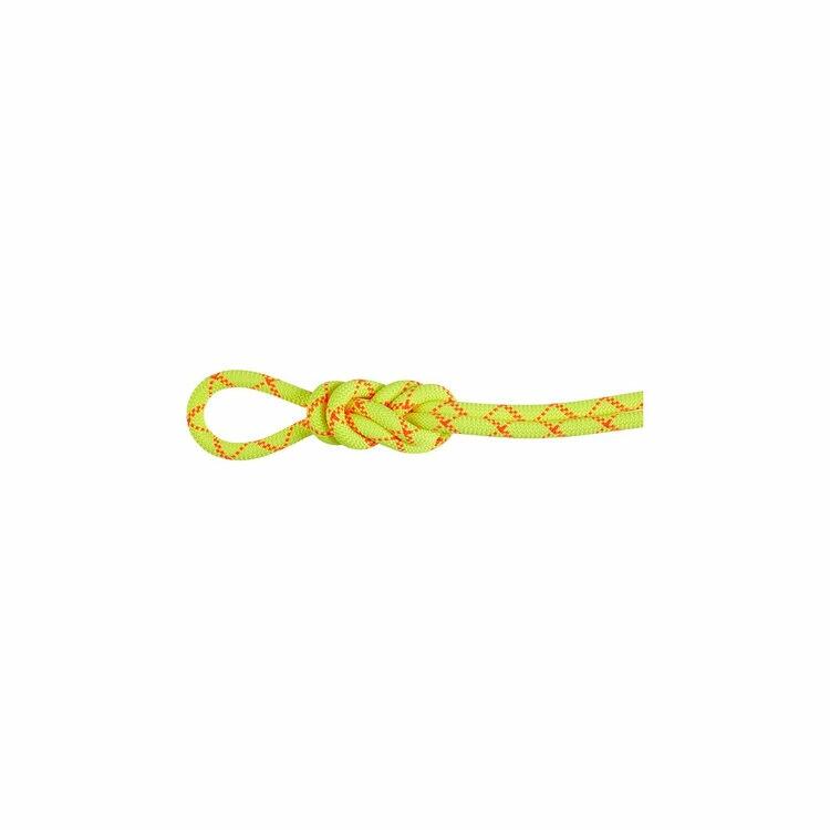 マムート / MAMMUT（マムート） | 9.5アルパインコアプロテクトドライロープ80m / halo-v_og 9.5Alpine Core Protect DryRope80m 2010-05470 [25FW]