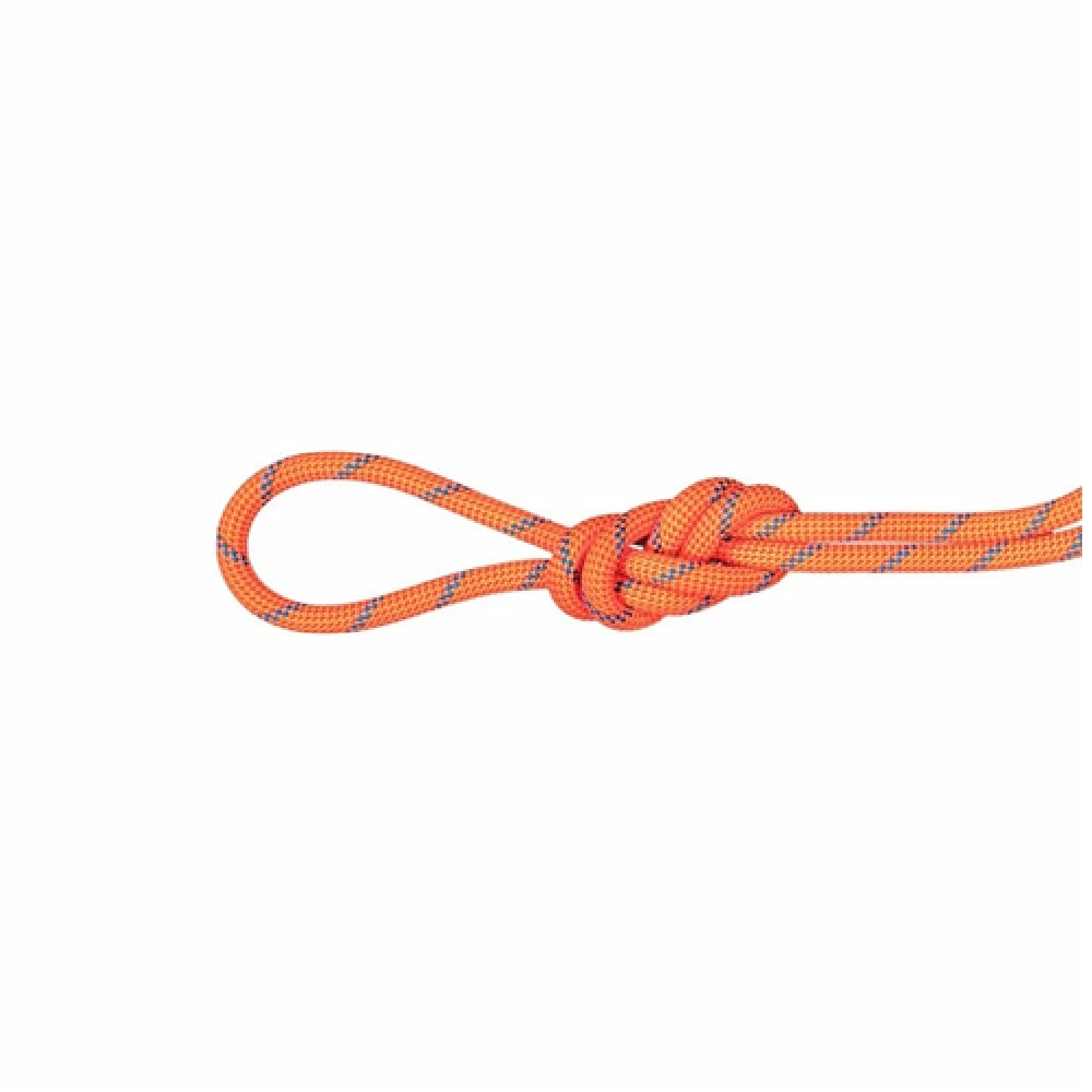 7．5 アルパイン センダー ドライ ロープ 60m / 7.5 Alpine Sender Dry Rope 60m 2010-05490 fire-blue|マムート / MAMMUT
