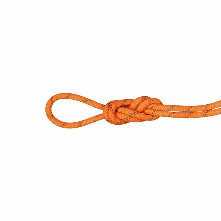 マムート / MAMMUT（ー） | 【クリアランス】8.0 アルパイン ドライ ロープ 70m / 8.0 Alpine Dry Rope 70m 2010-05160 2284