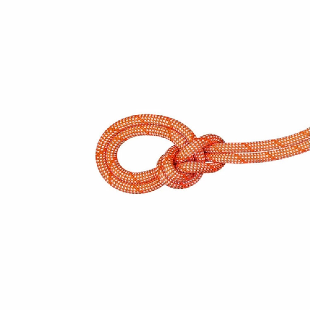 9．8クラッグ クラシック ロープ 50m / 9.8 Crag Classic Rope 50m 2010-05850 boa-white|マムート / MAMMUT