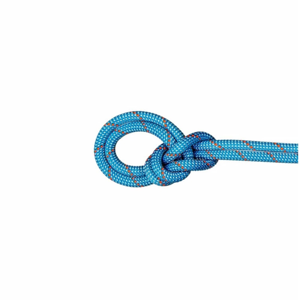 マムート / MAMMUT（ー） | 9．8クラッグ クラシック ロープ 80m / 9.8 Crag Classic Rope 80m 2010-05880 ice mint-white