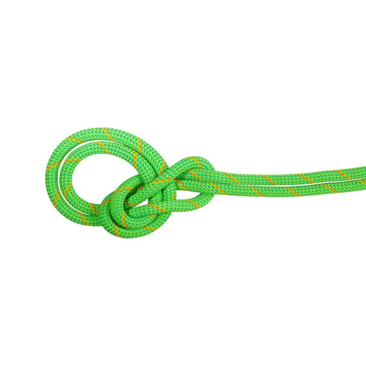 マムート / MAMMUT（ー） | 9.5クラッグエコドライドライロープ50m / neon green-ocean 9.5 Crag Eco Dry Rope 50m 2010-06090 [25FW]