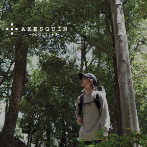 アクシーズクイン モディファイド / AXESQUIN modified
